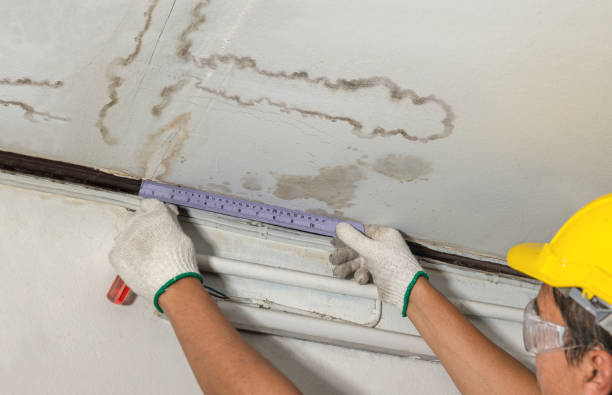 Affordable Ceiling Water Damage Repair solutions in Jamestown, OH